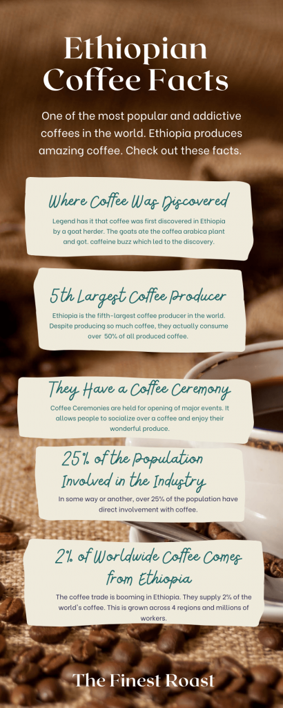 infographic ethiopian coffee facts