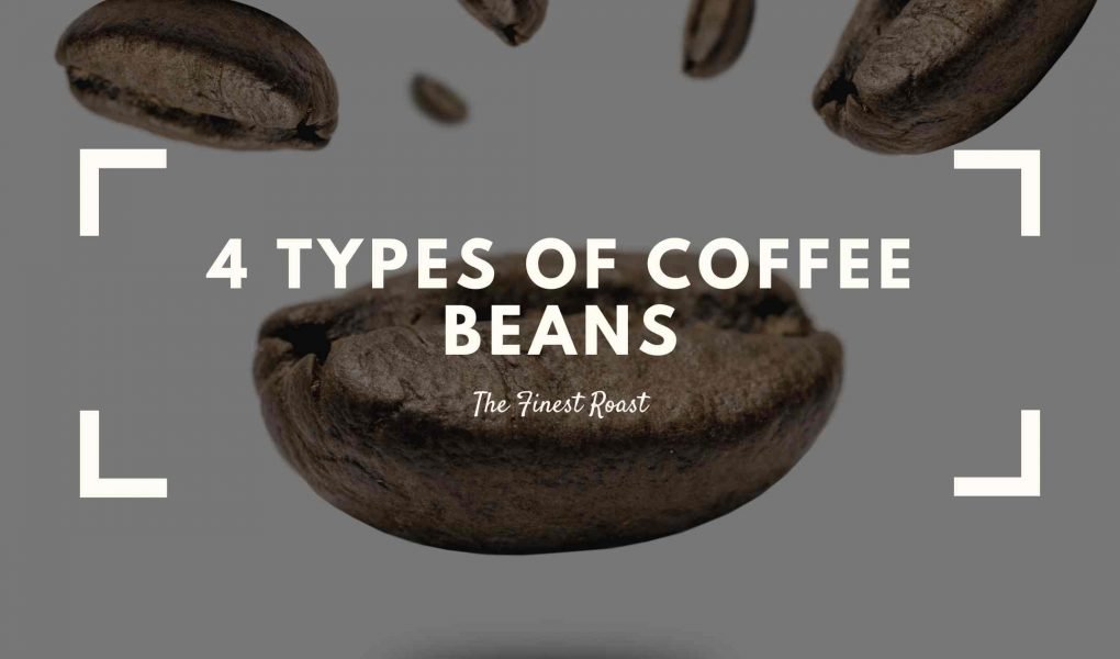 Types of coffee bean falling in air