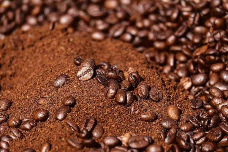 Do Coffee Beans Have Cockroaches? The Truth About Your Coffee The