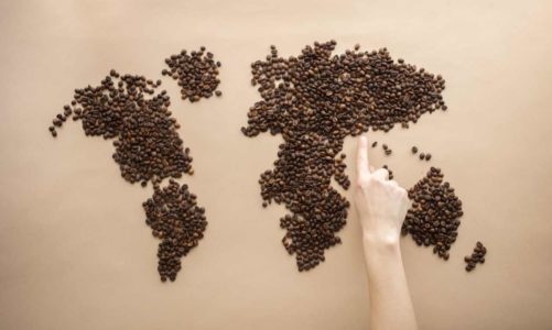 coffee countries as beans