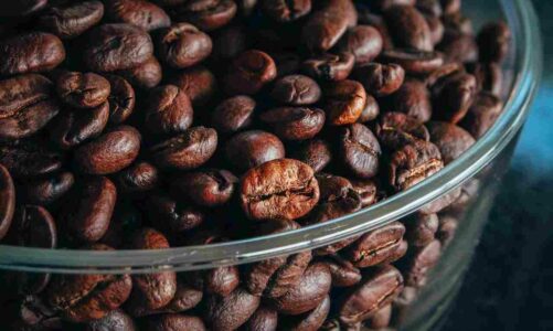 Best Coffee Beans For The French Press