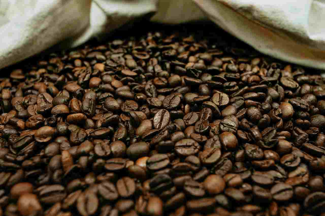 What Are Robusta Coffee Beans? The Finest Roast